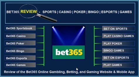 bet 365 english|bet365 company information.